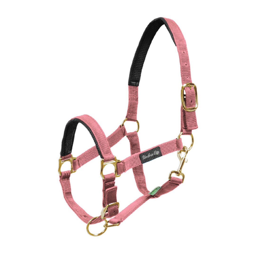 Cabezada de nailon con refuerzo Neoprene