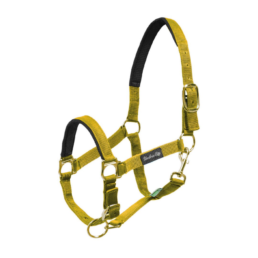 Cavezza Nylon Rinforzo Neoprene