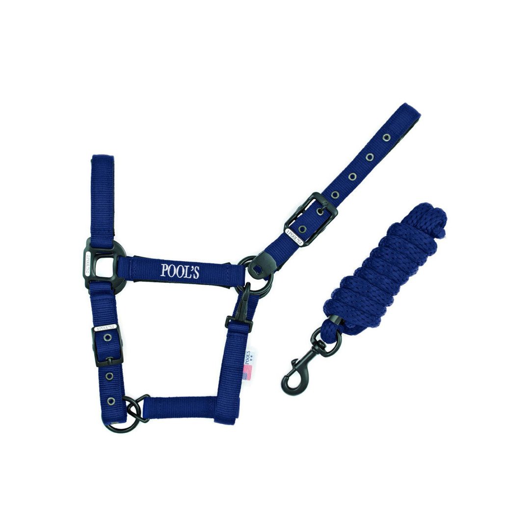 Pool's Solid Color Nylon Halter C Halter