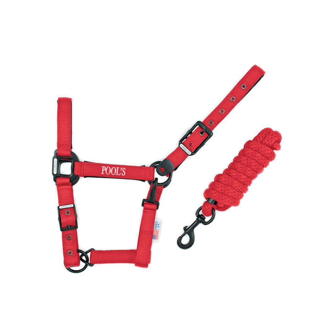Pool's einfarbiger Nylon-Halfter C Halfter