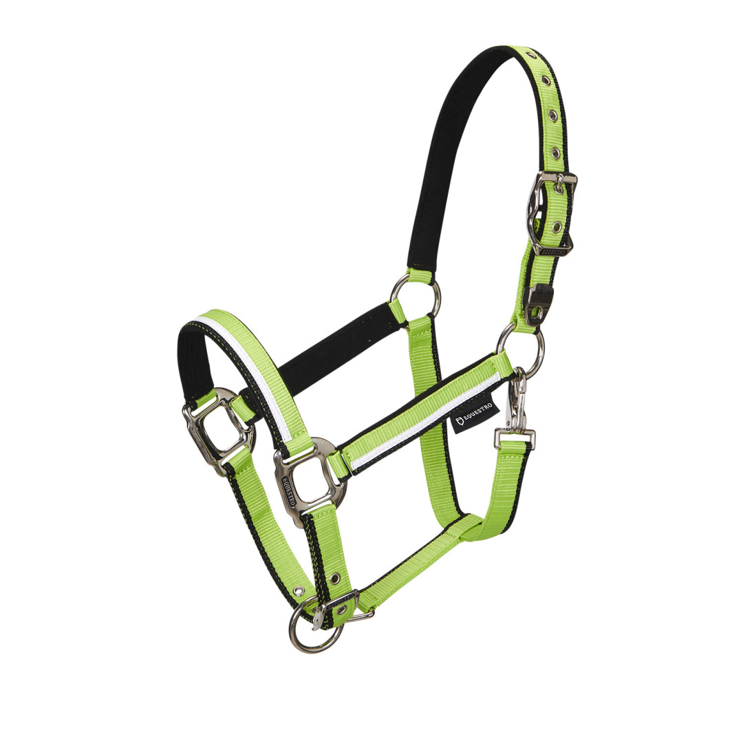 Halter With Fleece Padding and Snap Hook Halter With Fleece Padding and Snap Hook