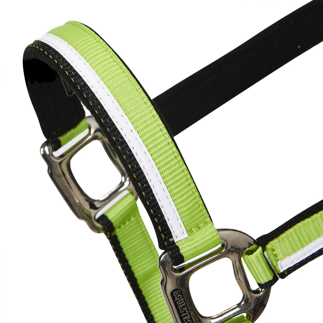 Halter With Fleece Padding and Snap Hook Halter With Fleece Padding and Snap Hook