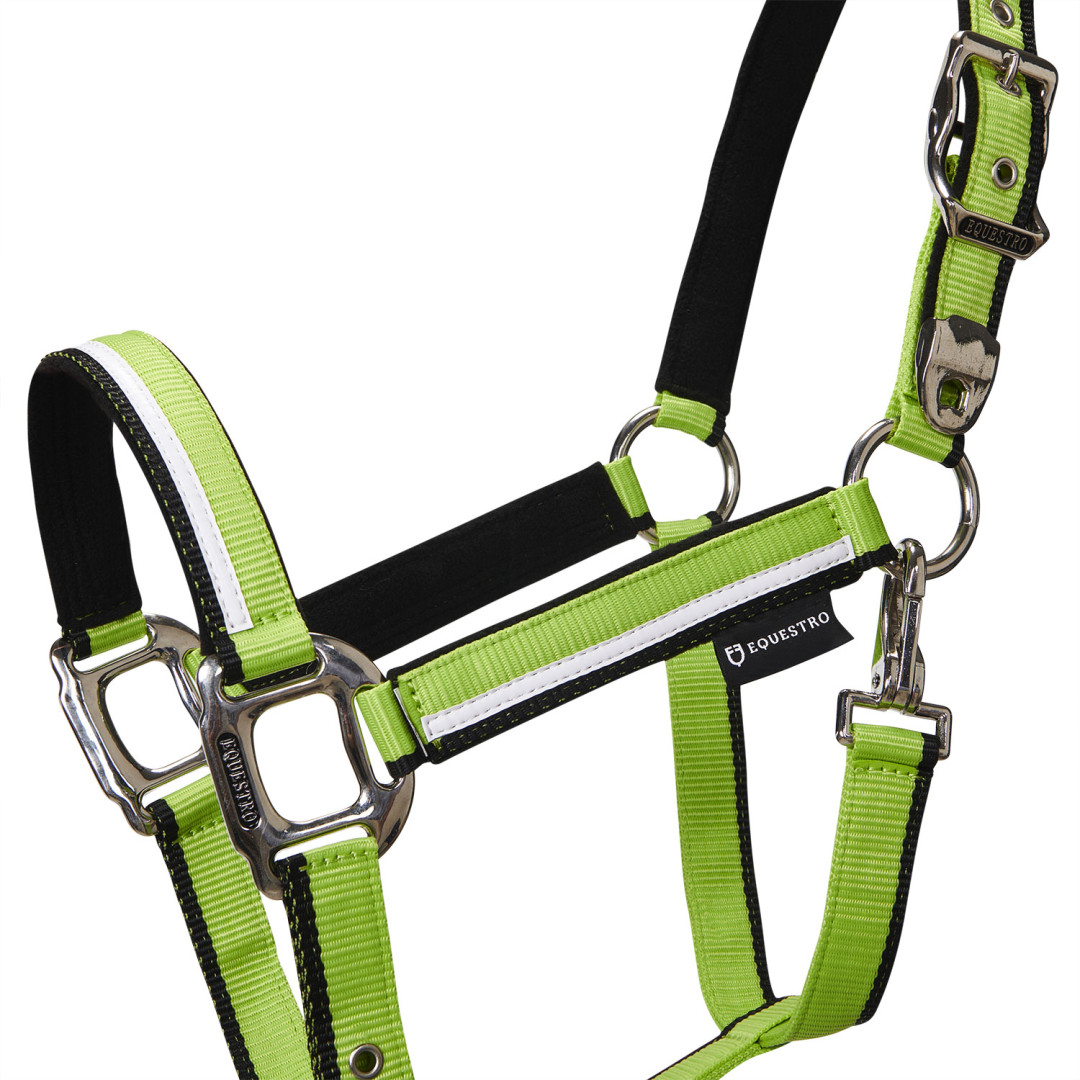Halter With Fleece Padding and Snap Hook Halter With Fleece Padding and Snap Hook