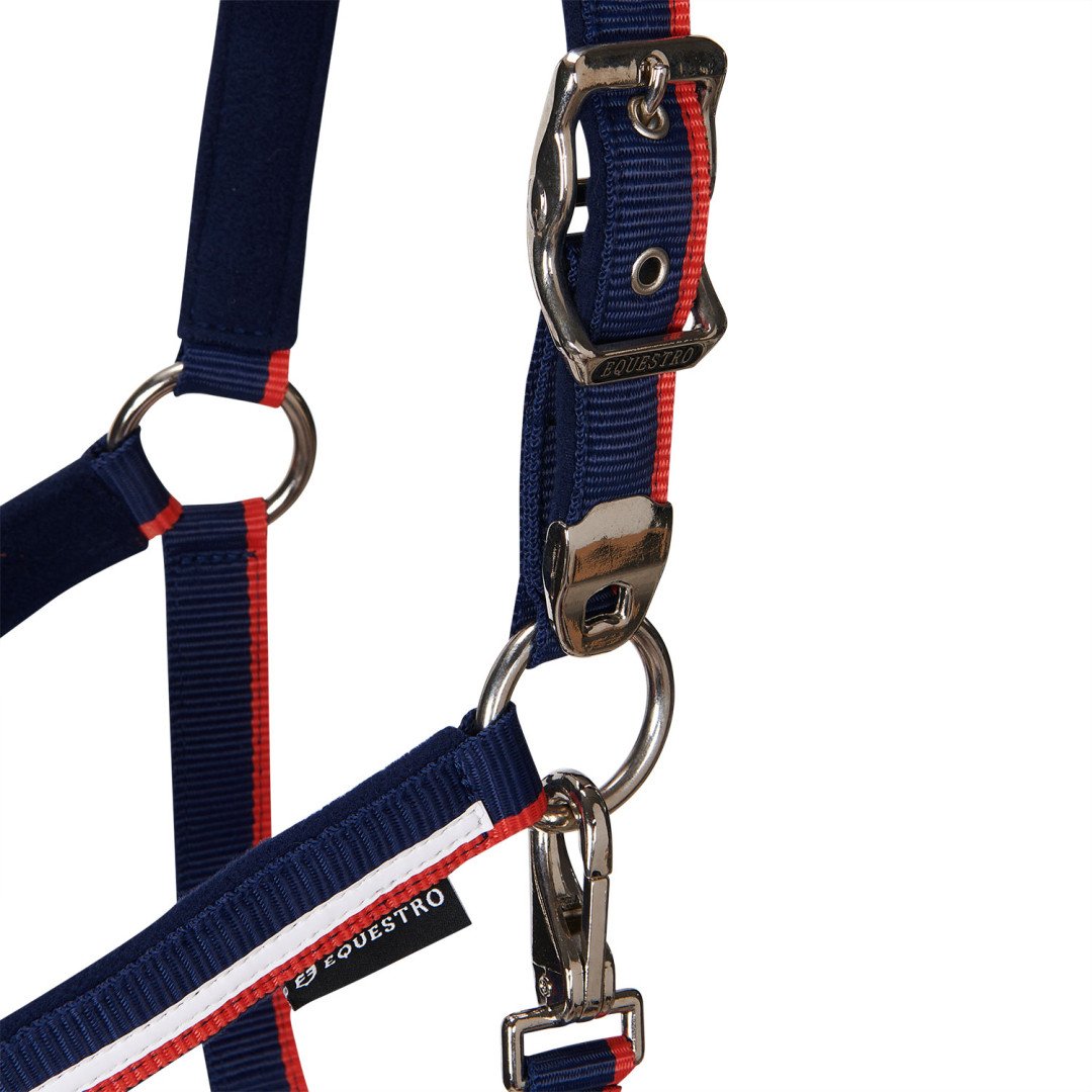 Cabezada de nailon Equestro modelo C con ribete blanco