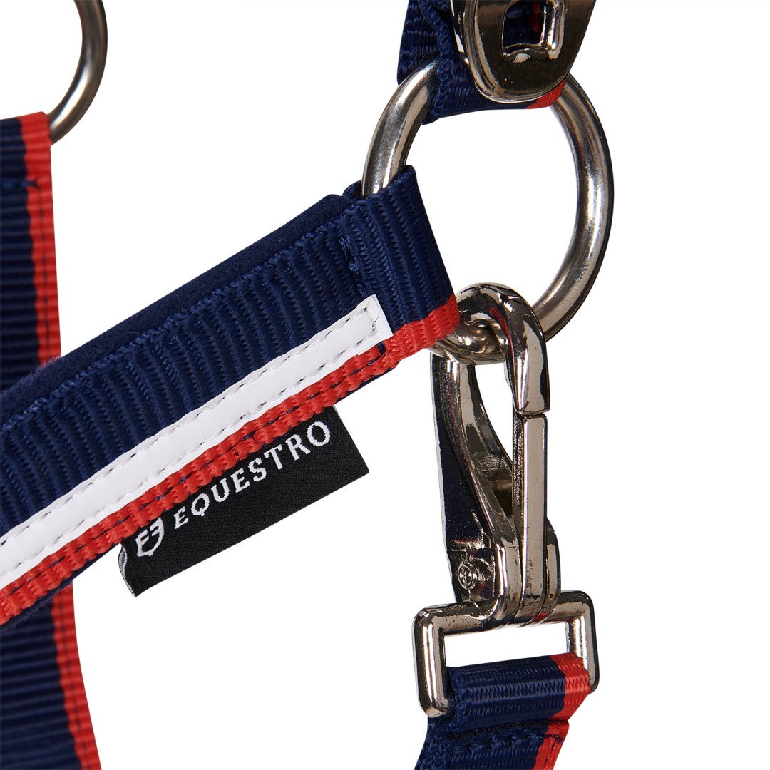 Cabezada de nailon Equestro modelo C con ribete blanco
