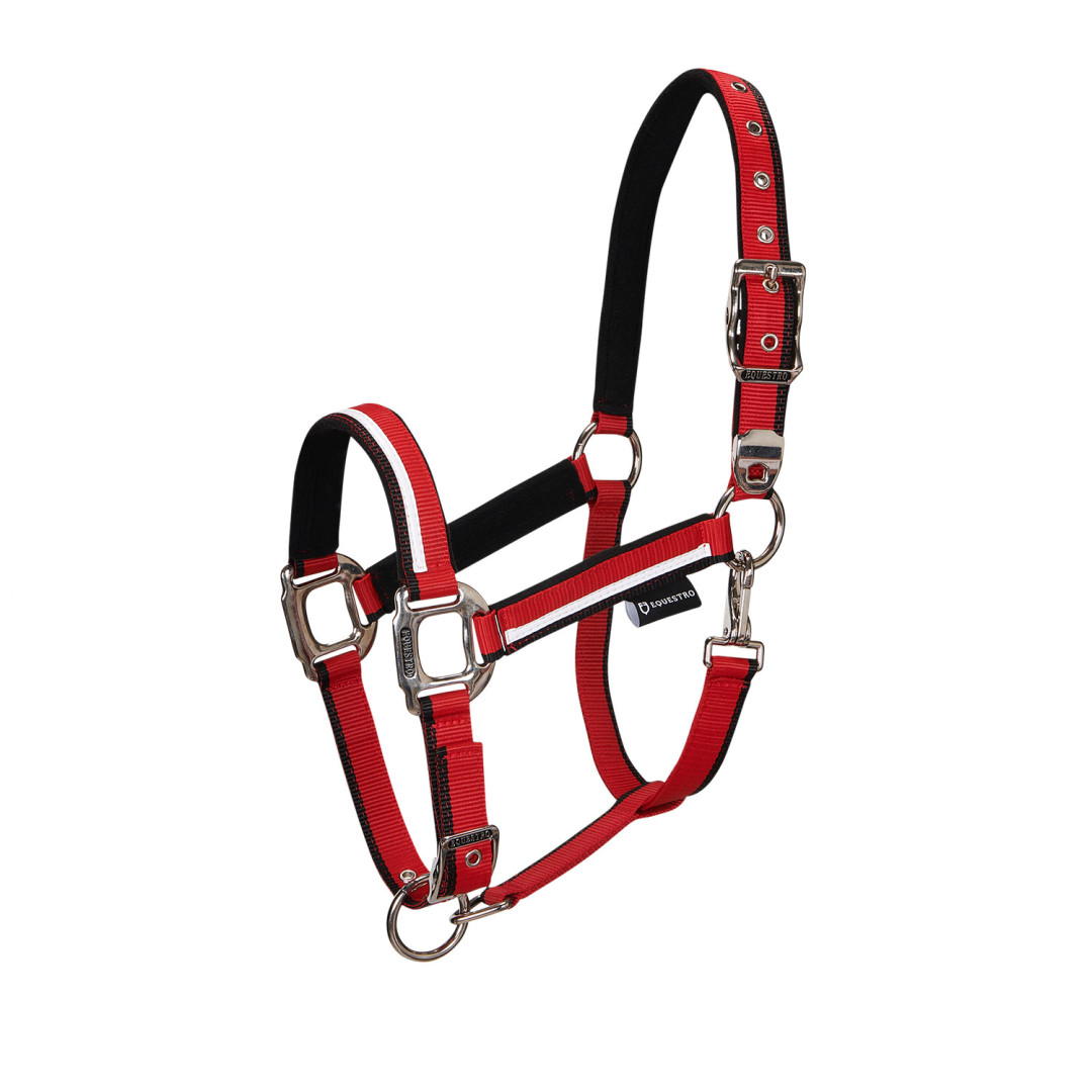 Halter With Fleece Padding and Snap Hook Halter With Fleece Padding and Snap Hook