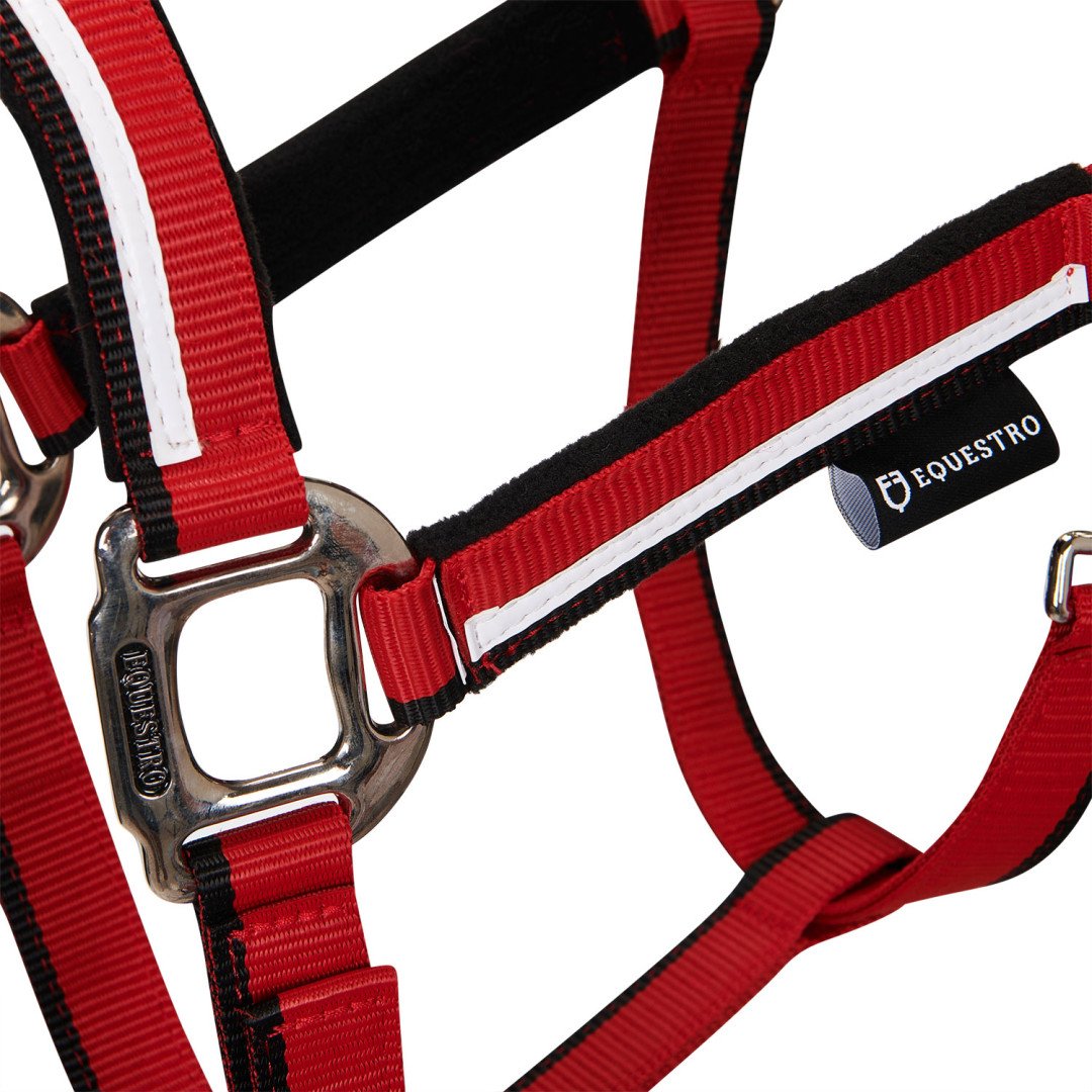 Equestro Halfter C Führstrick Modell Weißer Besatz