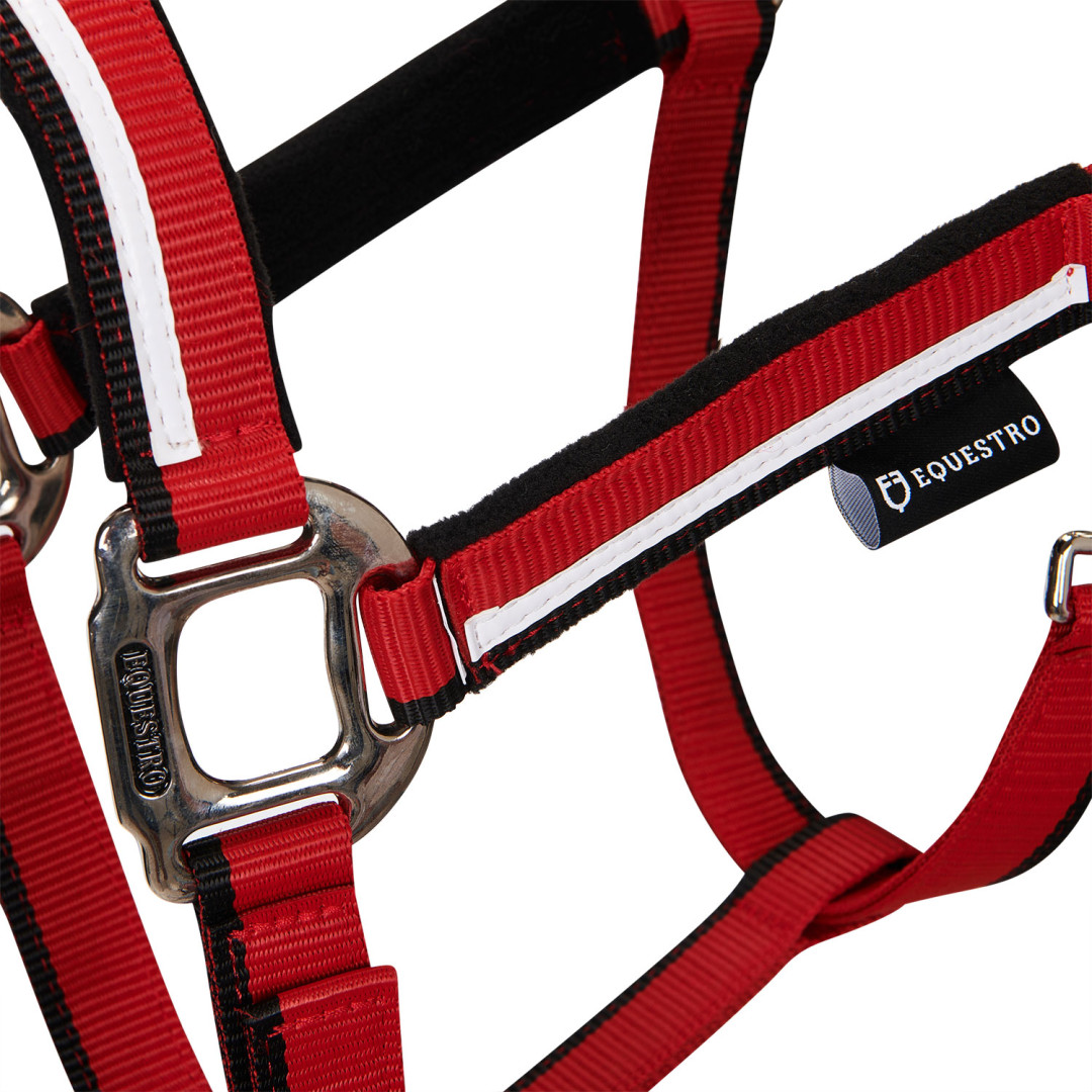 Halter With Fleece Padding and Snap Hook Halter With Fleece Padding and Snap Hook