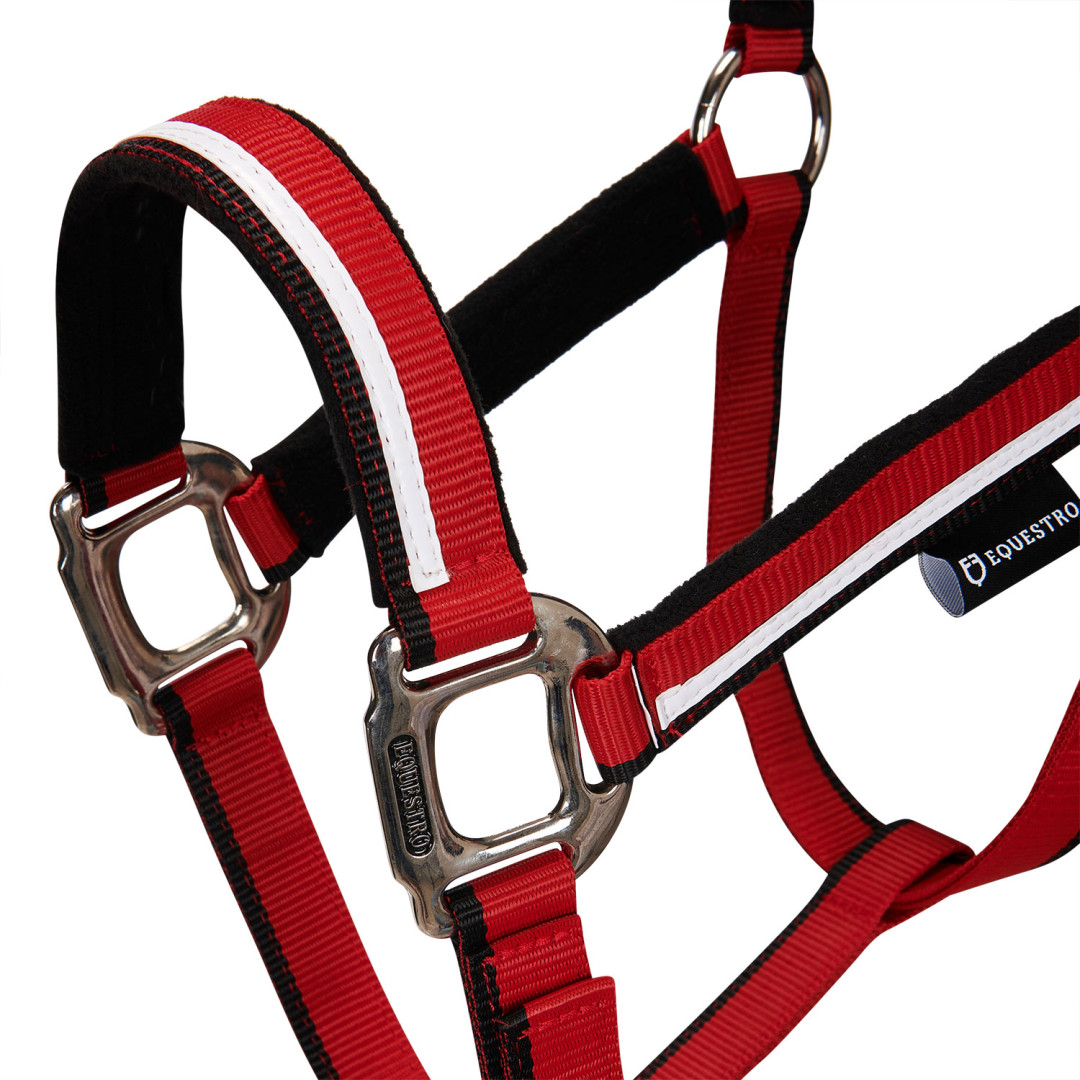 Halter With Fleece Padding and Snap Hook Halter With Fleece Padding and Snap Hook