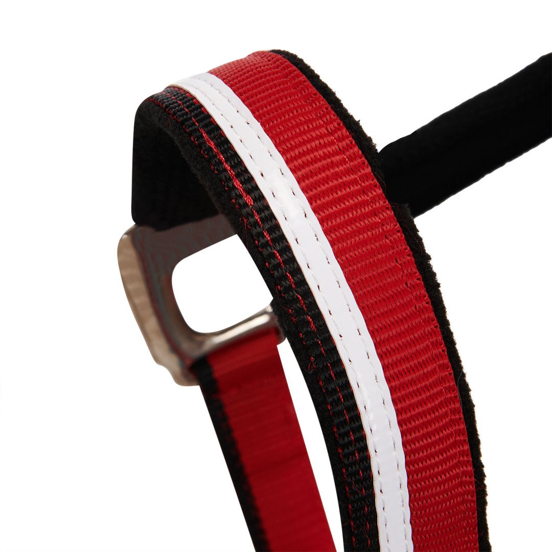 Cabezada de nailon Equestro modelo C con ribete blanco