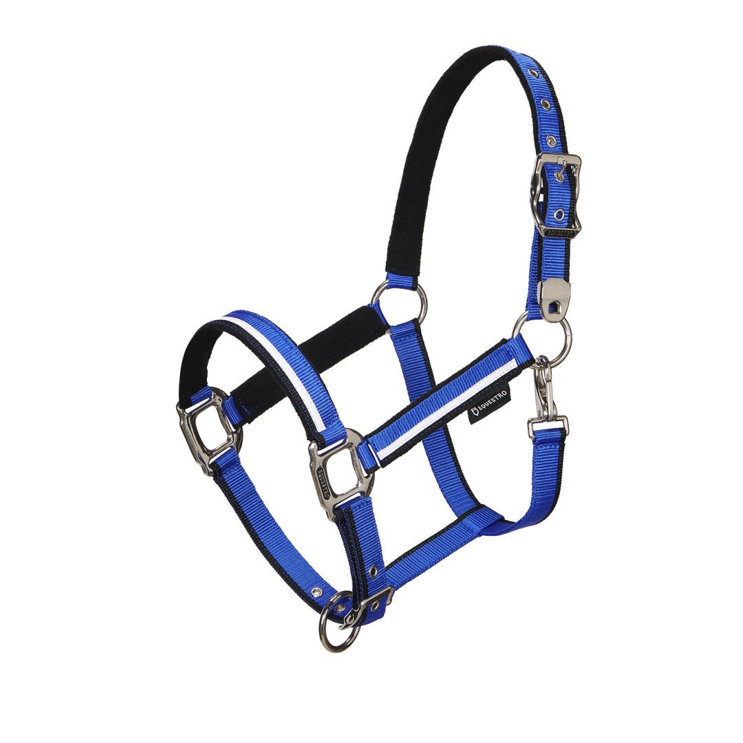 Equestro Halfter C Führstrick Modell Weißer Besatz
