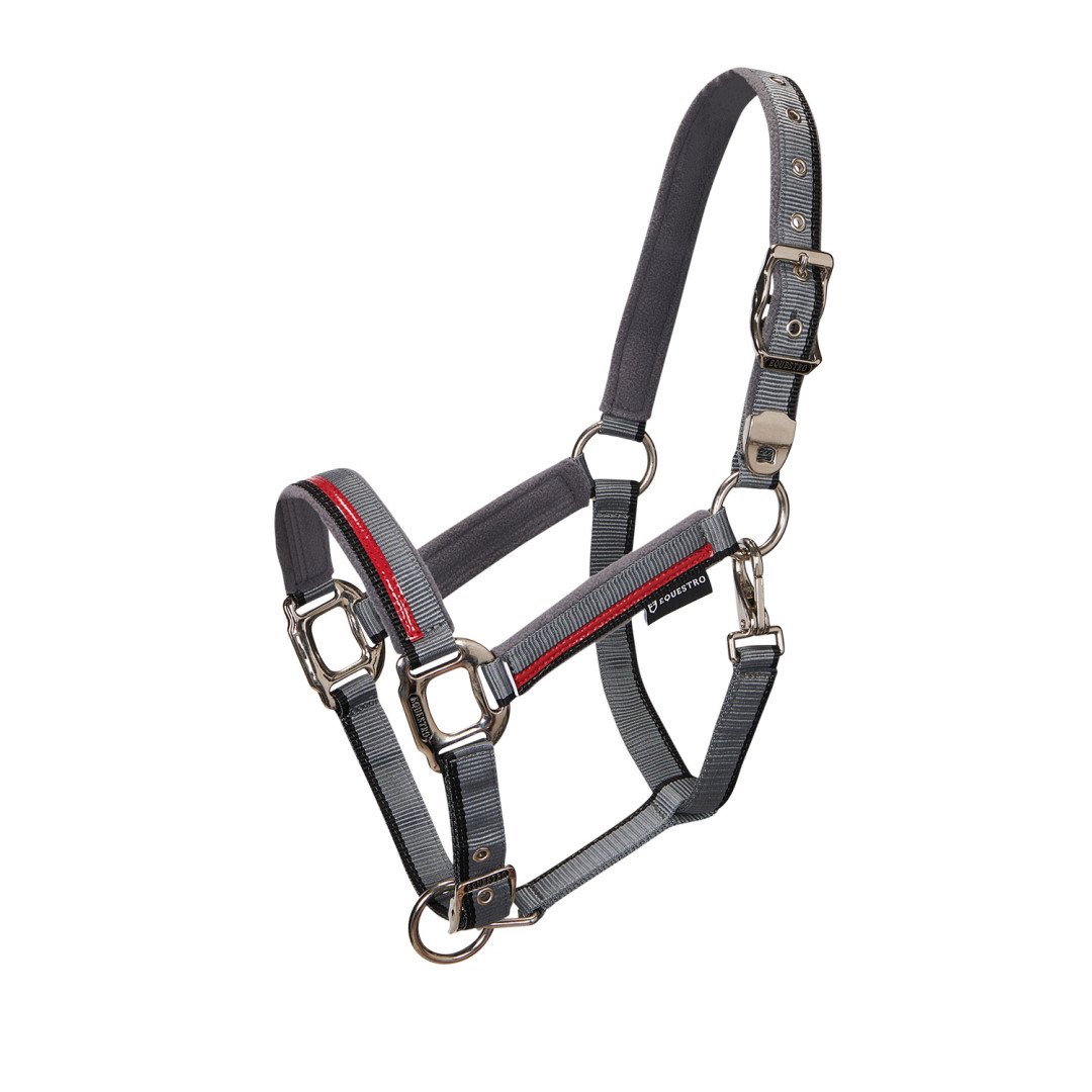 Equestro Nylon Halter C Lead Model Red Trim