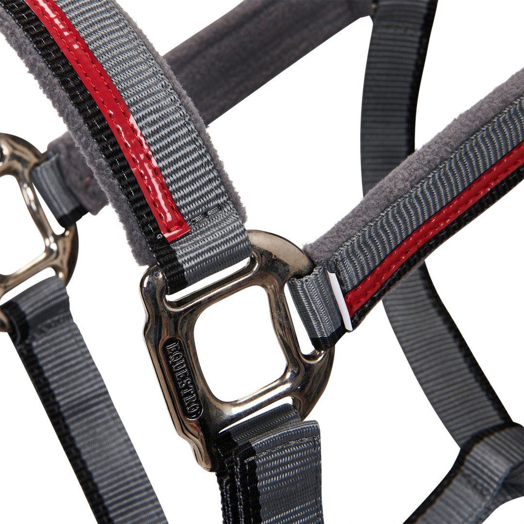 Equestro Nylon Halter C Lead Model Red Trim