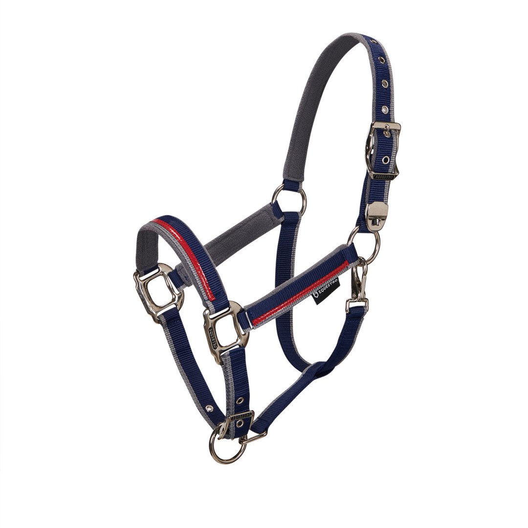 Equestro Halfter C Führstrick Modell mit rotem Besatz