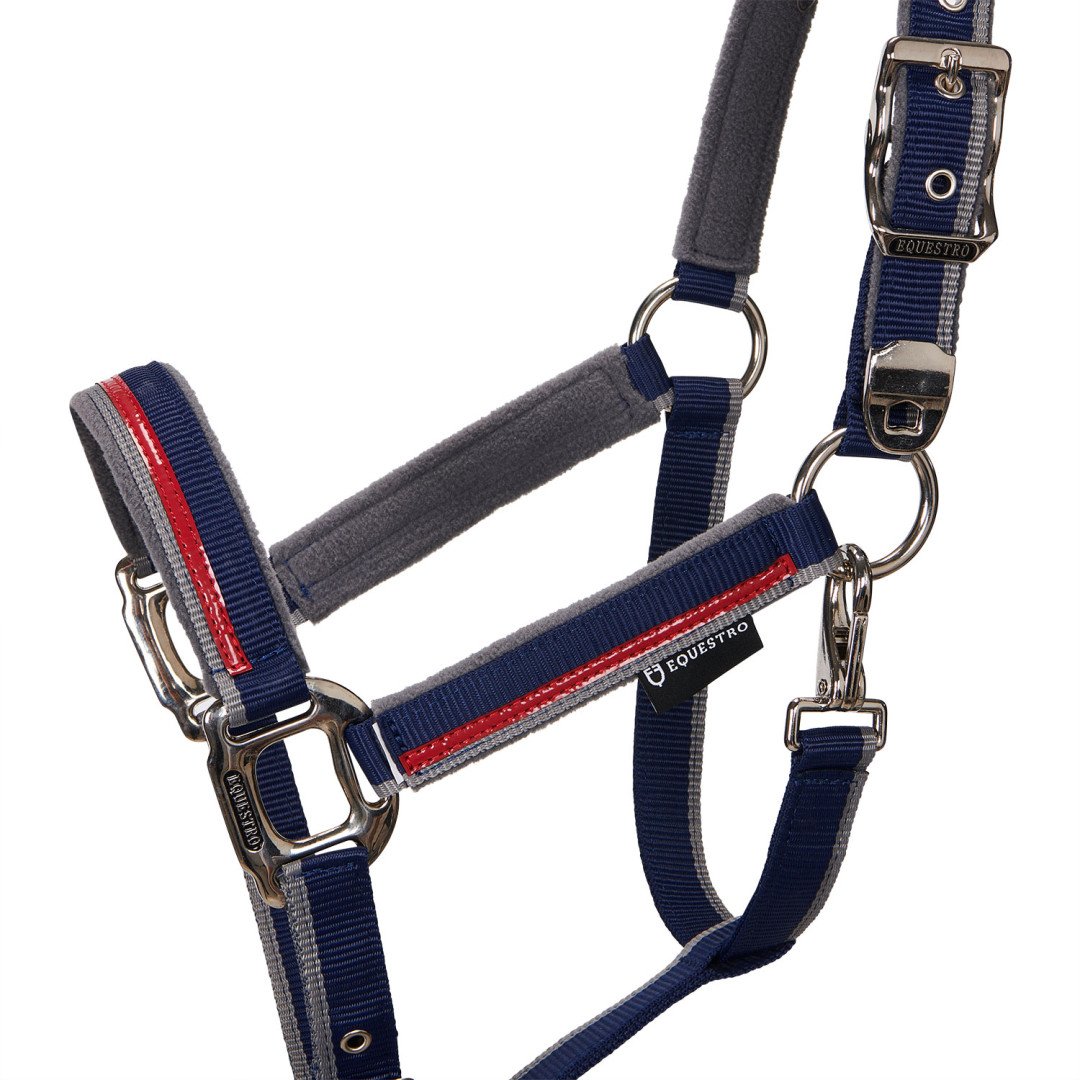 Equestro Halfter C Führstrick Modell mit rotem Besatz