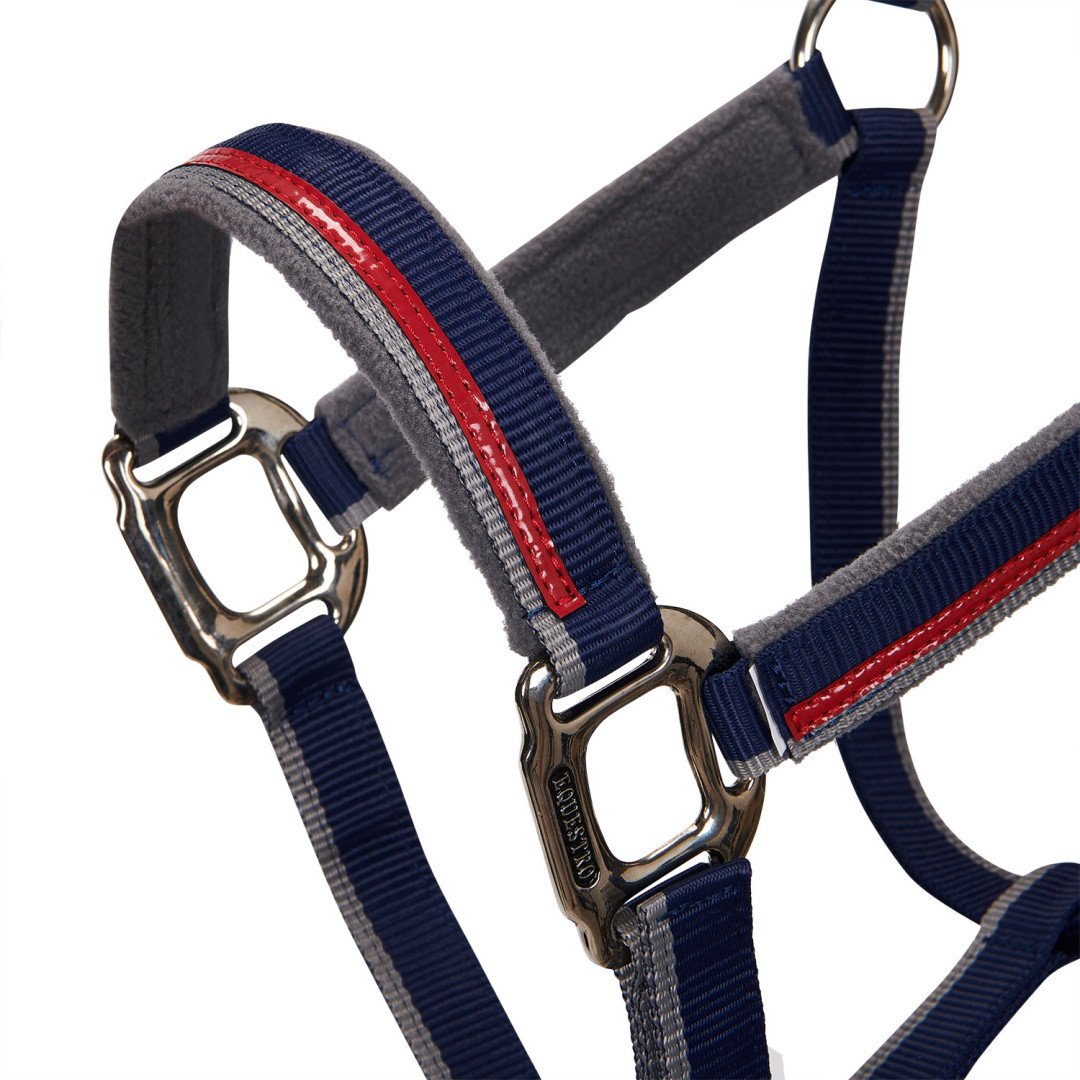 Equestro Halfter C Führstrick Modell mit rotem Besatz