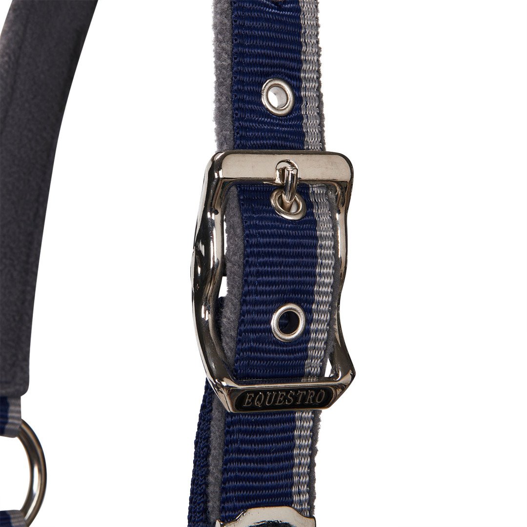 Equestro Halfter C Führstrick Modell mit rotem Besatz