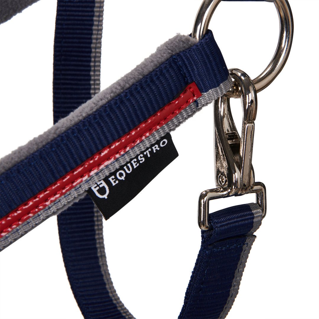 Equestro Halfter C Führstrick Modell mit rotem Besatz