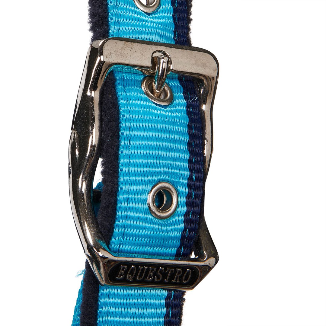 Equestro Nylon Halter C Lead Model Red Trim