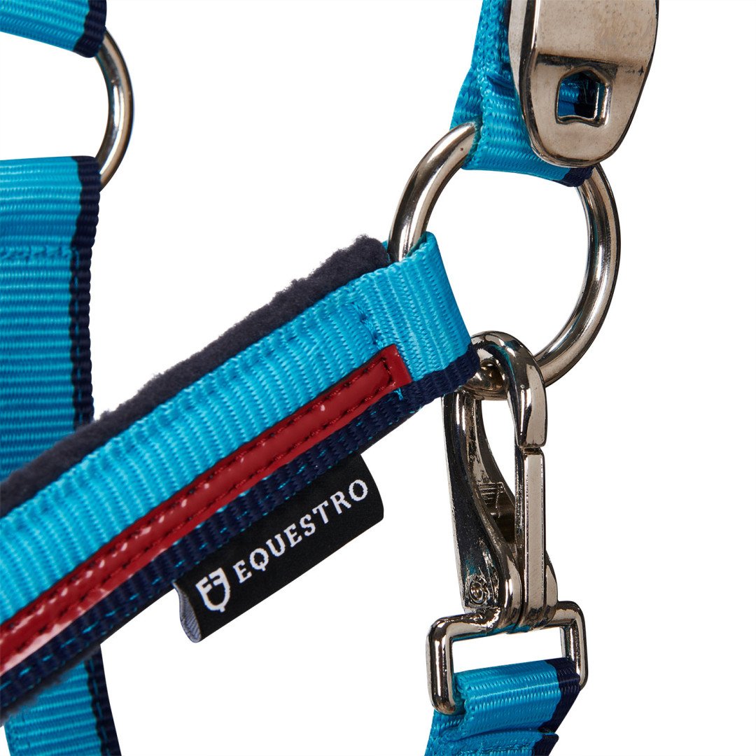 Equestro Nylon Halter C Lead Model Red Trim