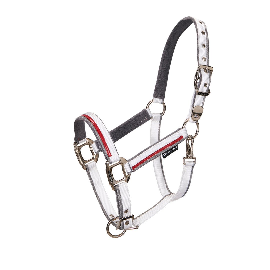 Equestro Nylon Halter C Lead Model Red Trim