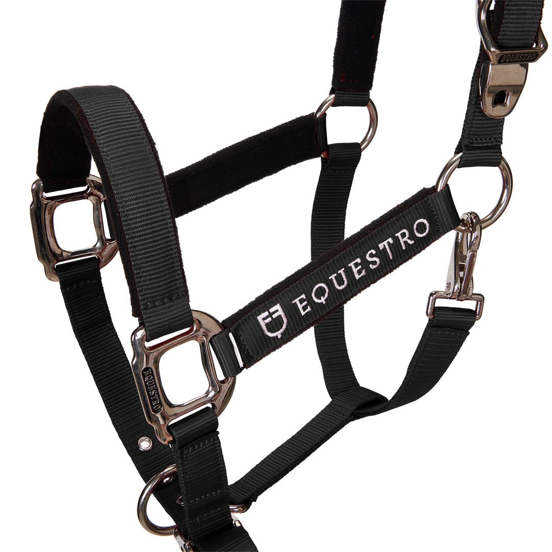 Halter C Lead Halter Model Shiny Equestro