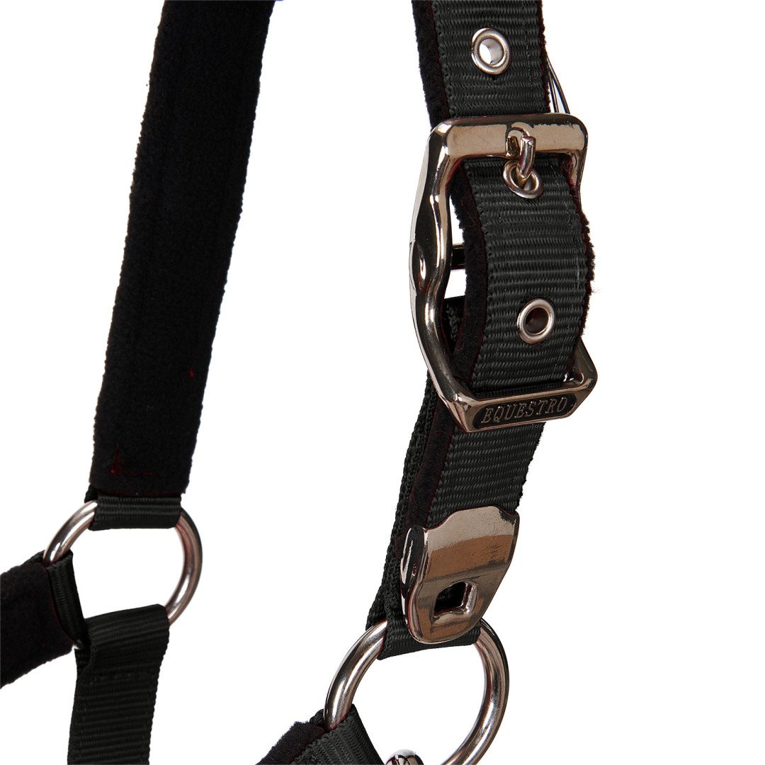 Halter C Lead Halter Model Shiny Equestro
