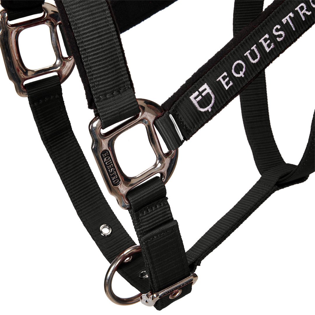 Licol Licol C, modèle Shiny Equestro