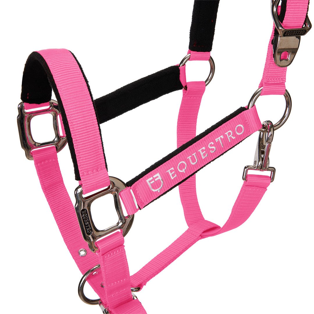 Cavezza Equestro C lunghina Modello Shiny Fittings