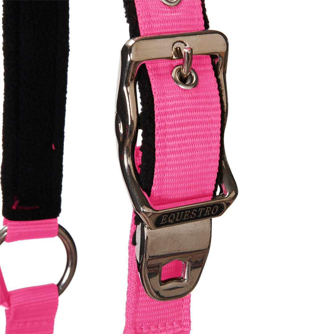 Cavezza Equestro C lunghina Modello Shiny Fittings