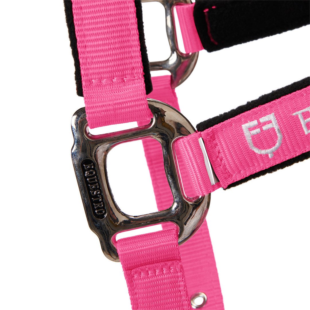 Cavezza Equestro C lunghina Modello Shiny Fittings