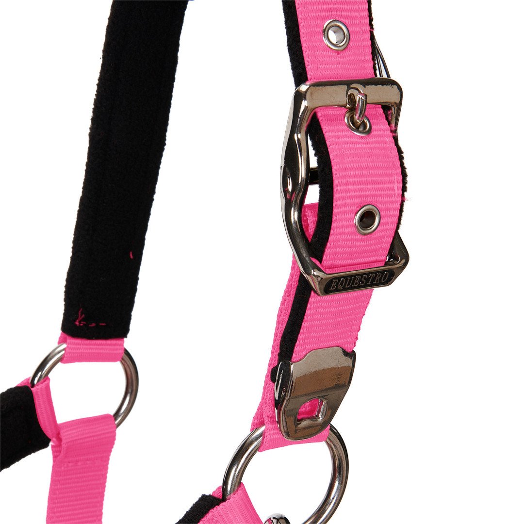 Cavezza Equestro C lunghina Modello Shiny Fittings