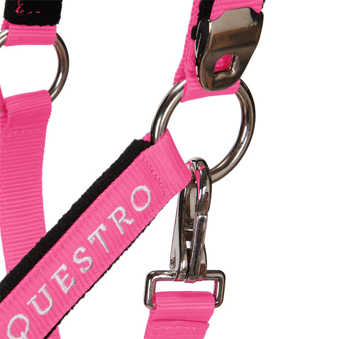 Cavezza Equestro C lunghina Modello Shiny Fittings