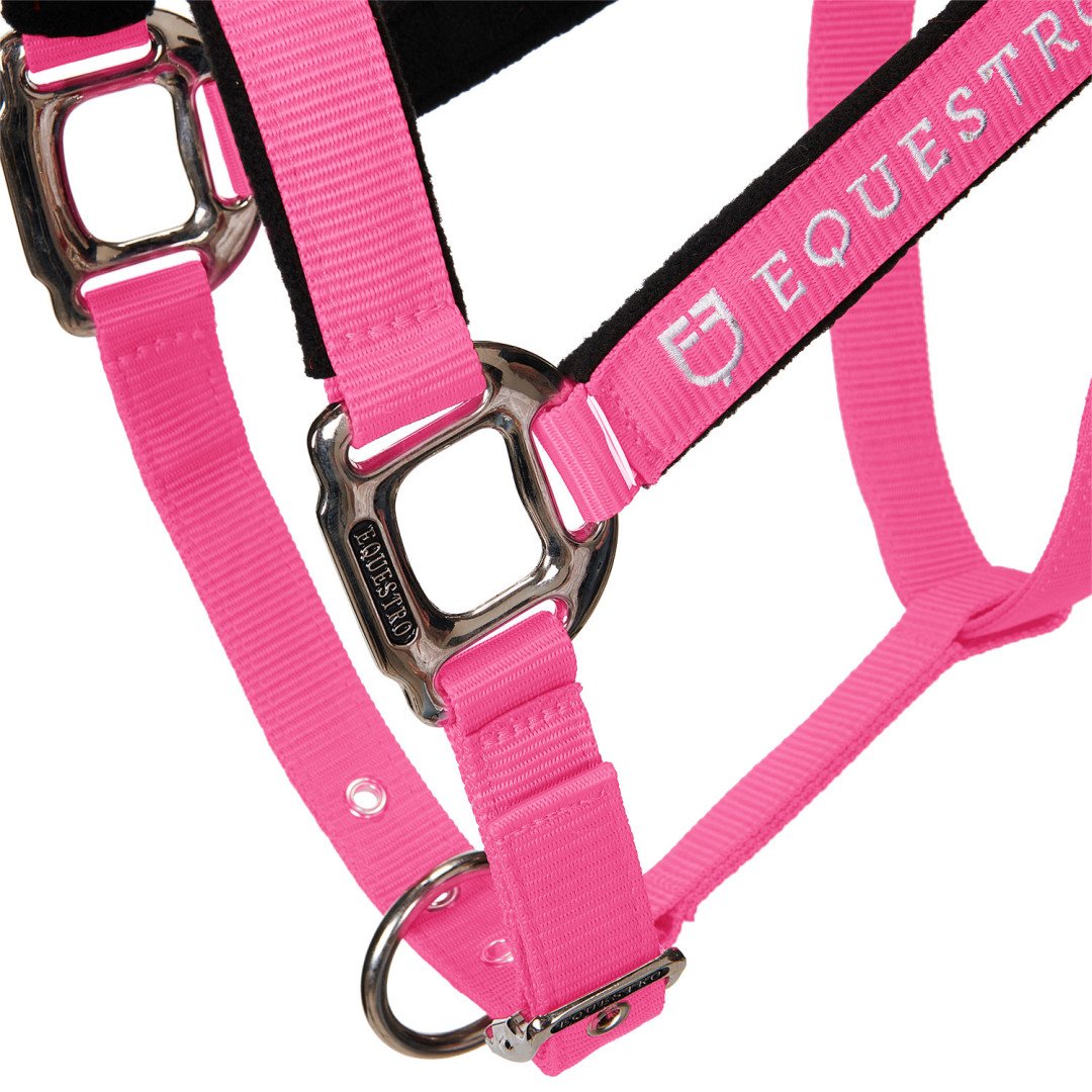 Cavezza Equestro C lunghina Modello Shiny Fittings