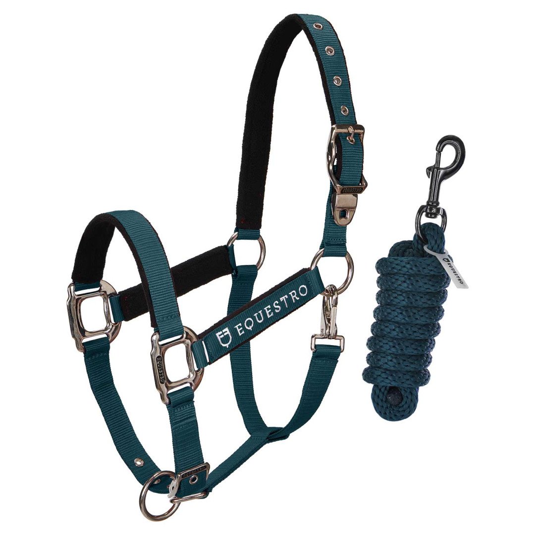 Licol Licol C, modèle Shiny Equestro