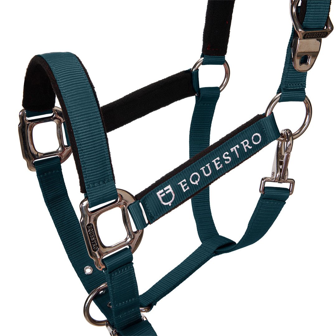 Licol Licol C, modèle Shiny Equestro