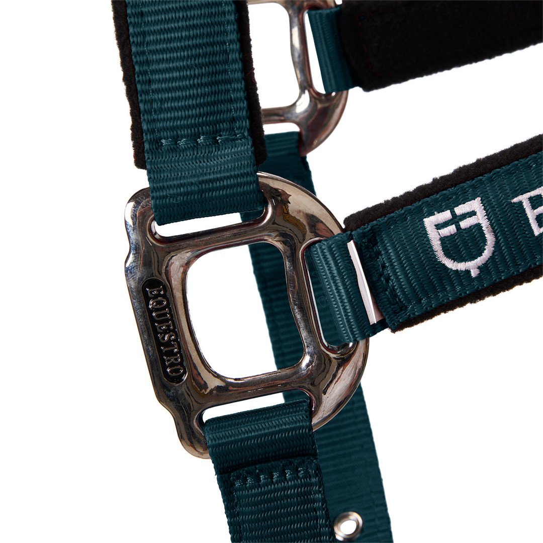 Cavezza Equestro C lunghina Modello Shiny Fittings