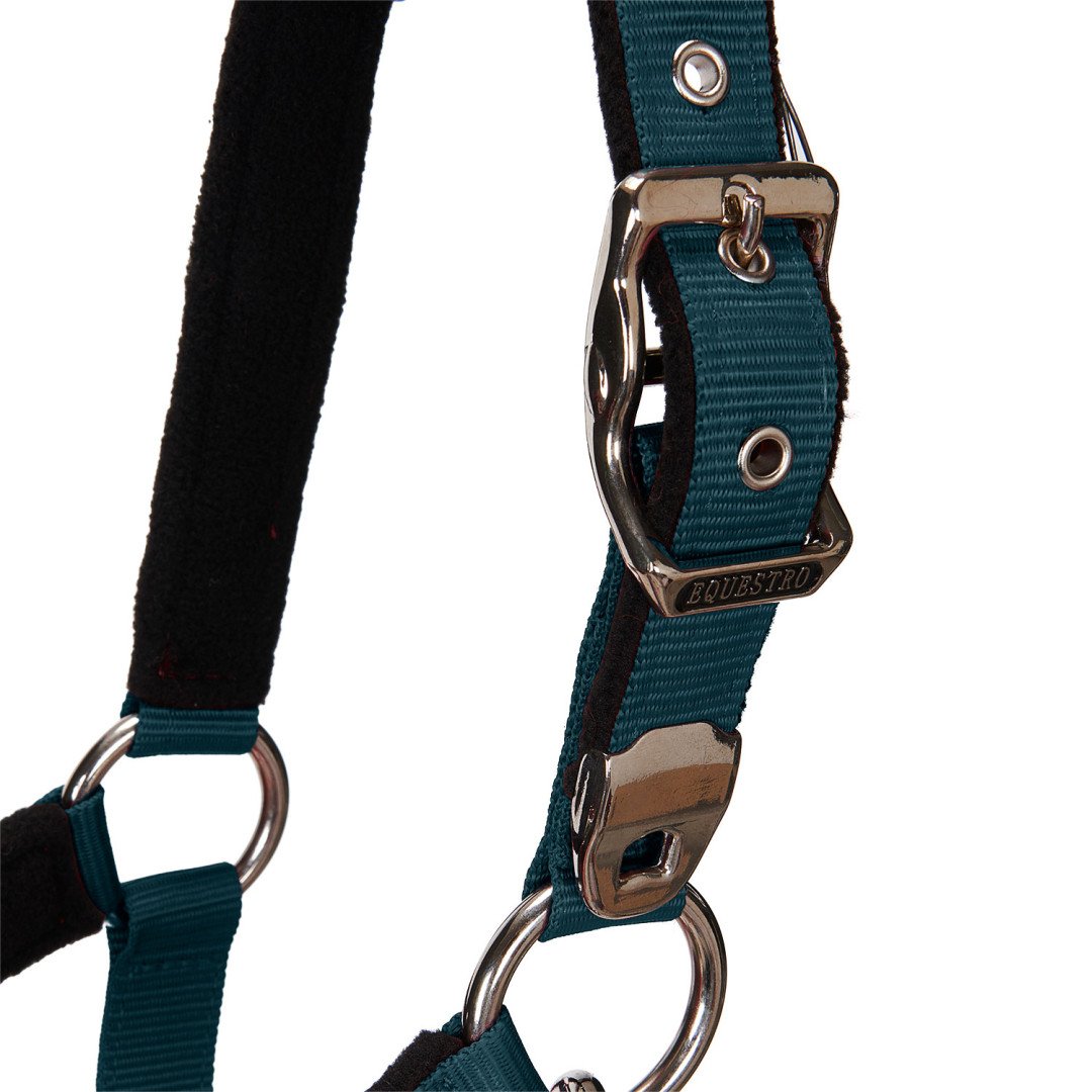 Halter C Lead Halter Model Shiny Equestro