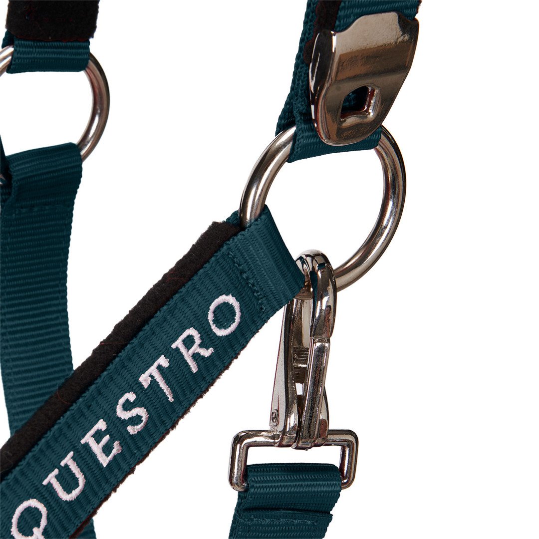 Cavezza Equestro C lunghina Modello Shiny Fittings