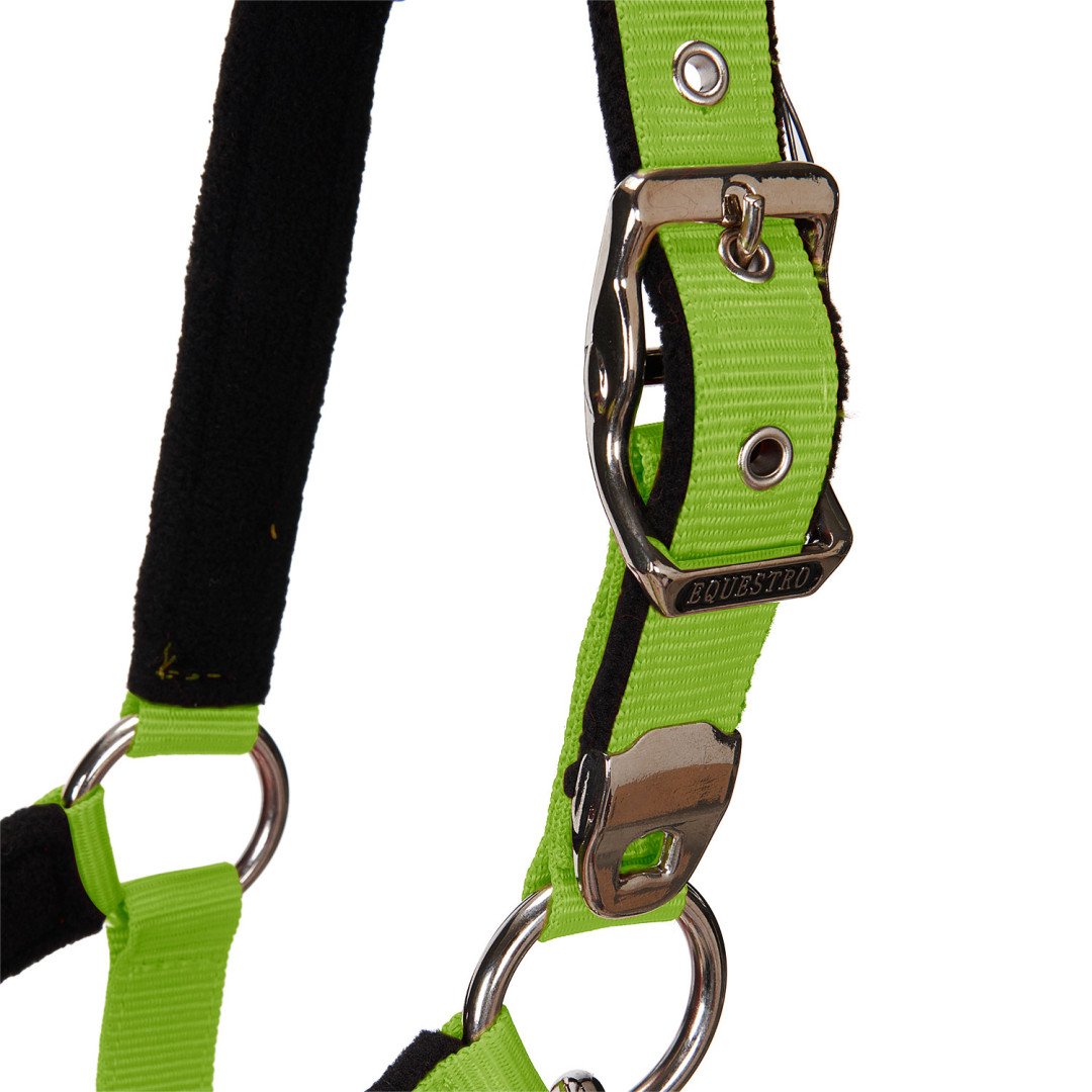 Licol Licol C, modèle Shiny Equestro