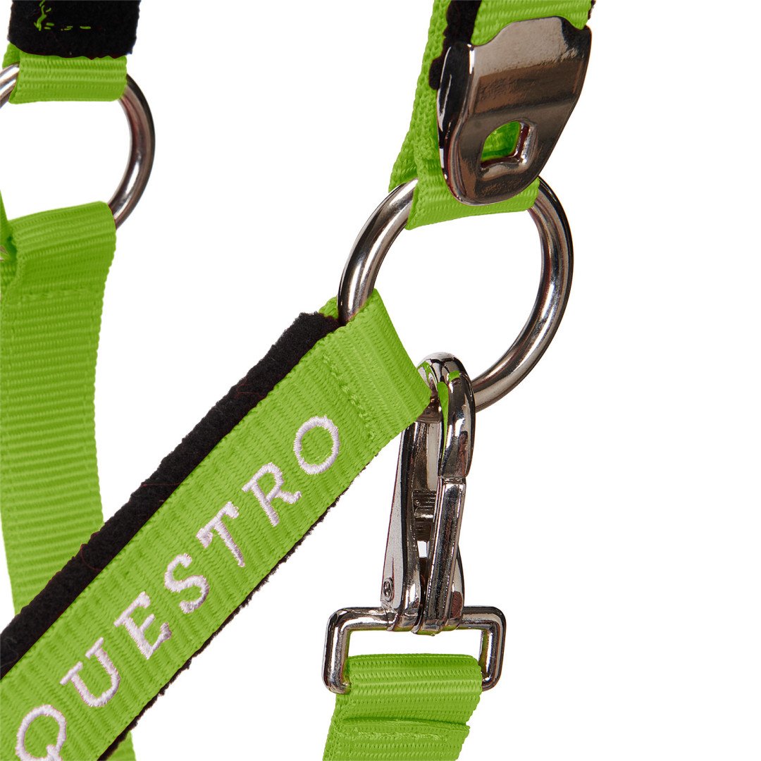 Halter C Lead Halter Model Shiny Equestro