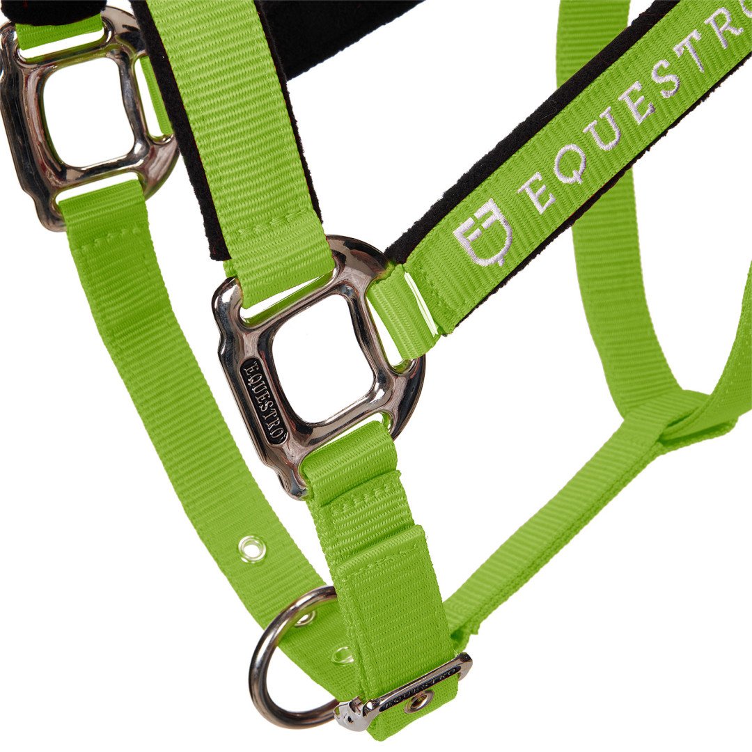 Licol Licol C, modèle Shiny Equestro