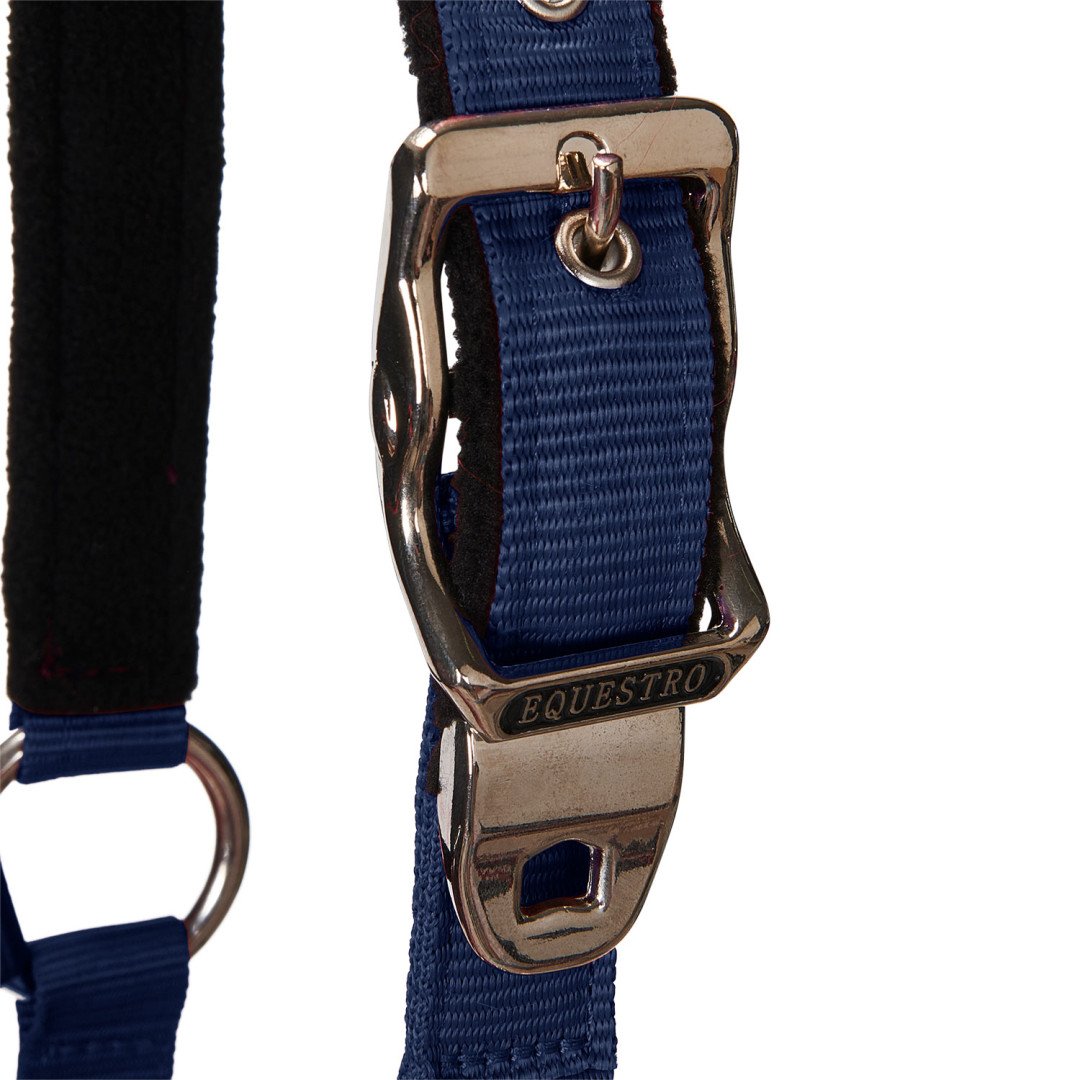 Halter C Lead Halter Model Shiny Equestro