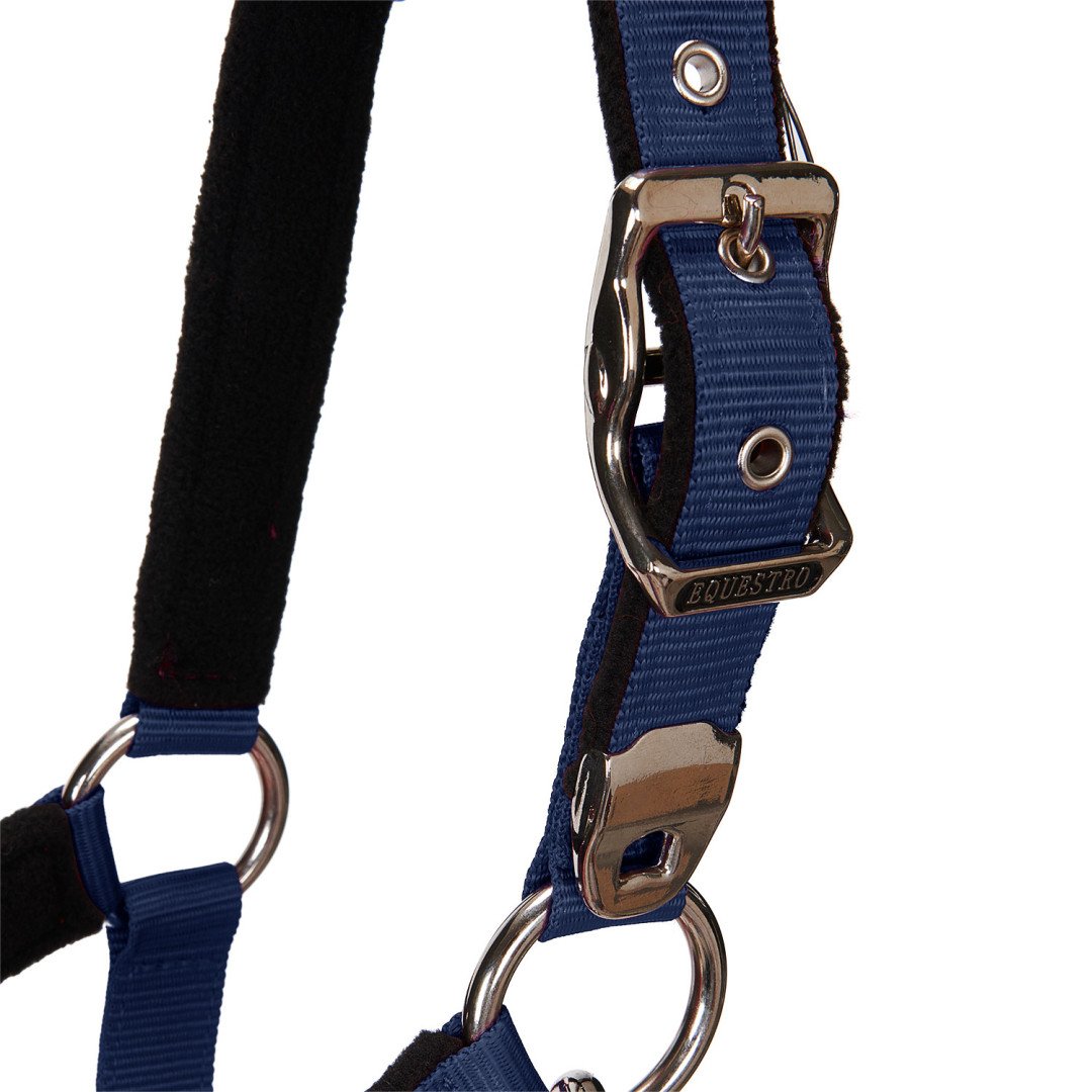 Halter C Lead Halter Model Shiny Equestro