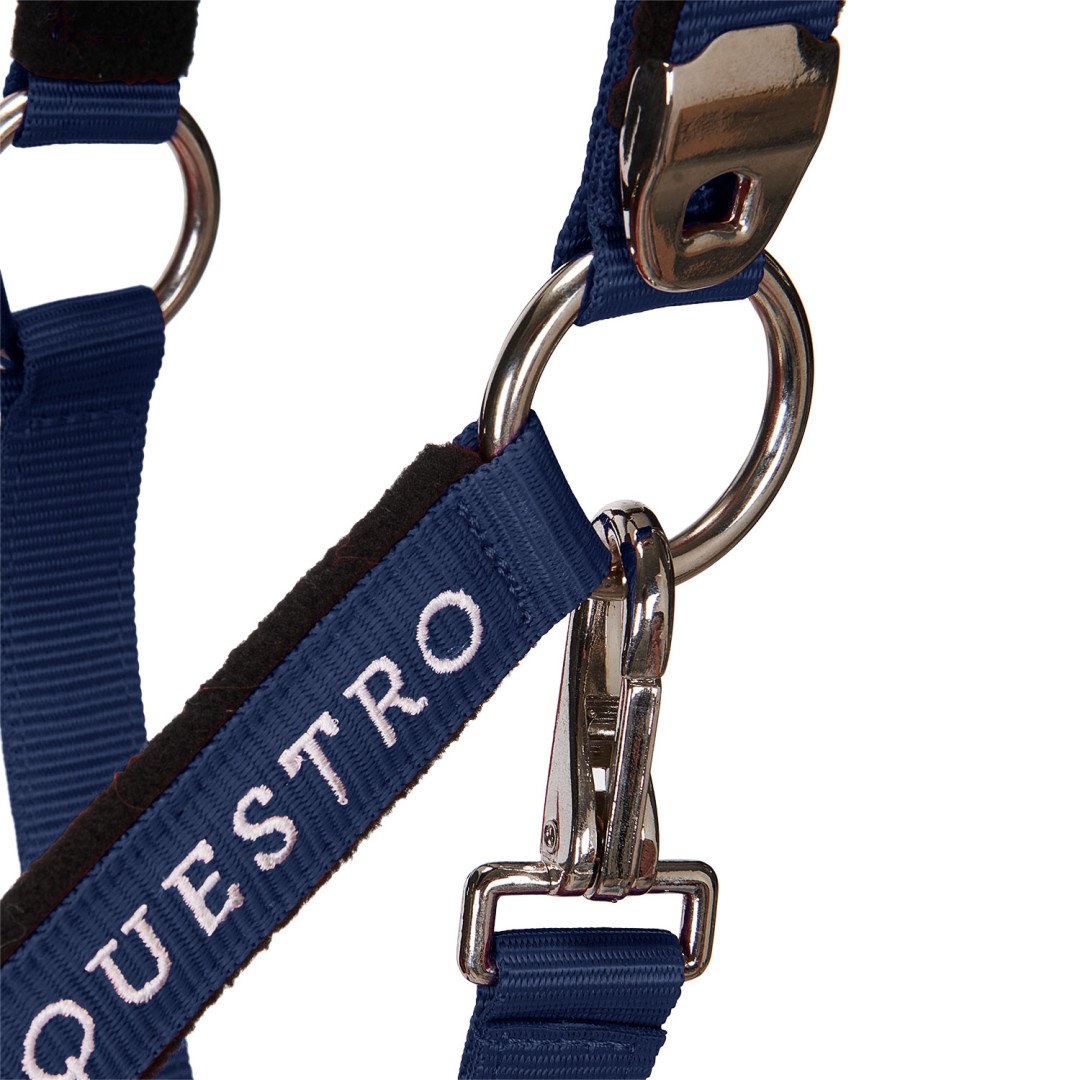 Halter C Lead Halter Model Shiny Equestro