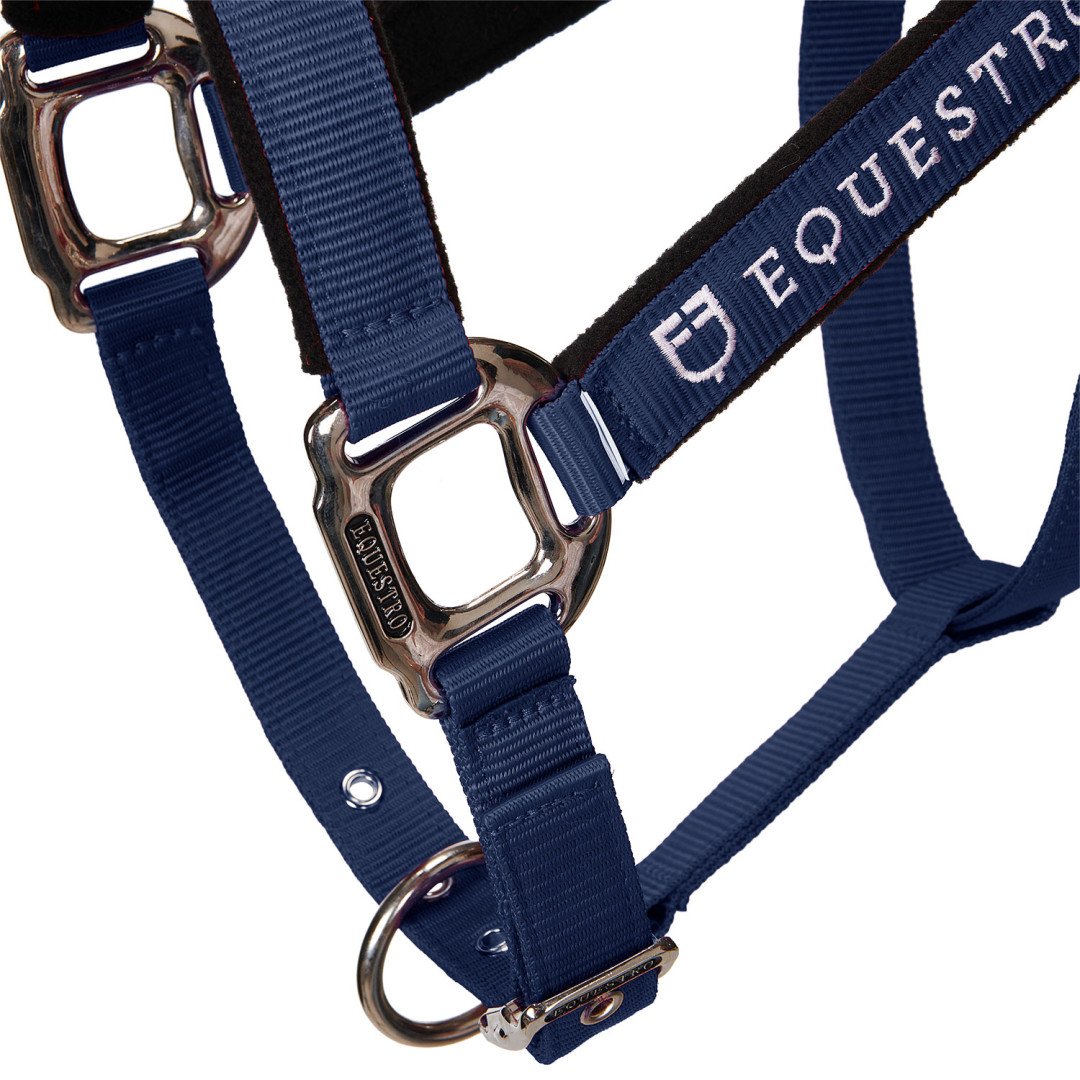 Halter C Lead Halter Model Shiny Equestro