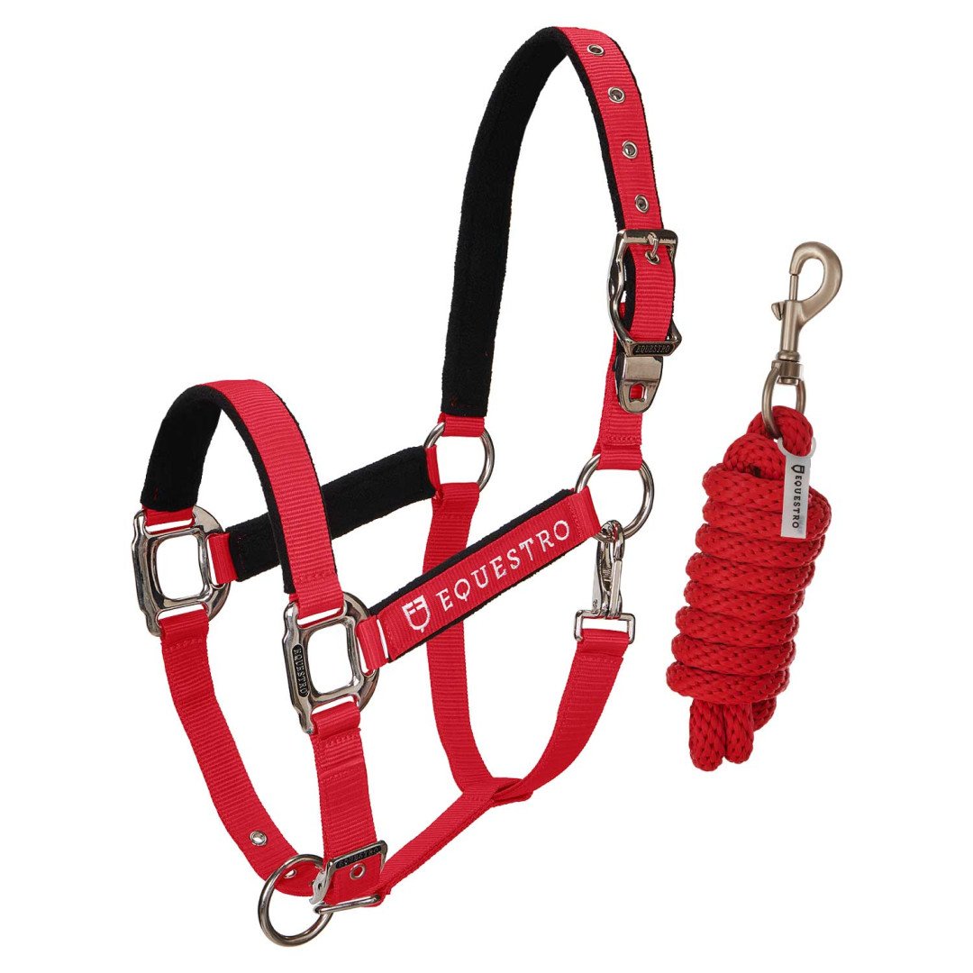Cavezza Equestro C lunghina Modello Shiny Fittings
