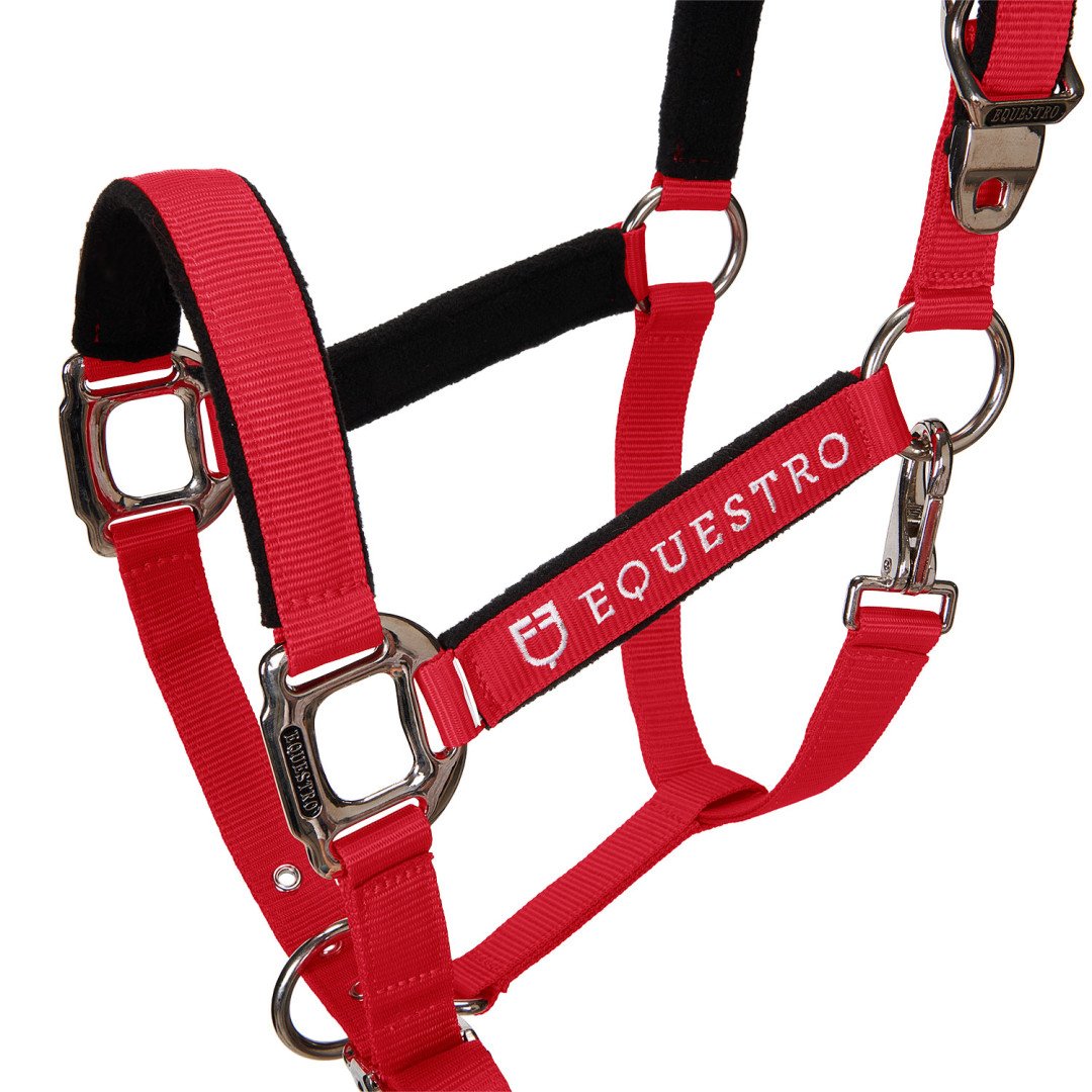 Cavezza Equestro C lunghina Modello Shiny Fittings