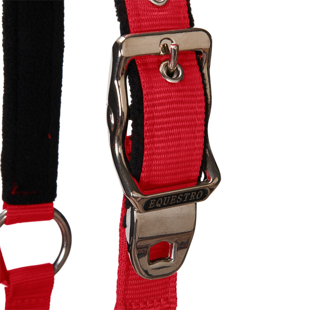 Cavezza Equestro C lunghina Modello Shiny Fittings