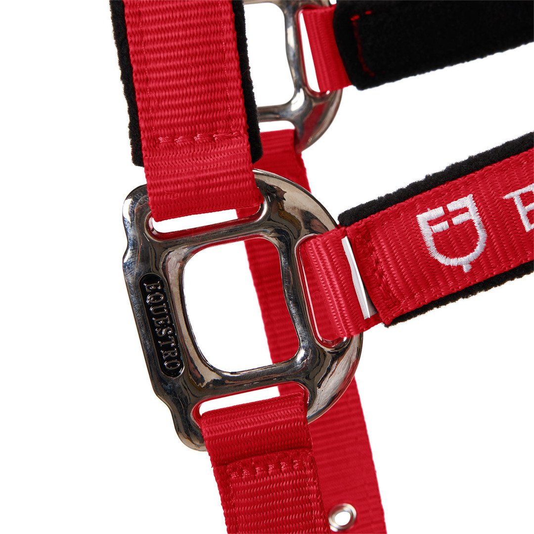 Cavezza Equestro C lunghina Modello Shiny Fittings